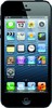 Apple iPhone 5 16GB - Брянск
